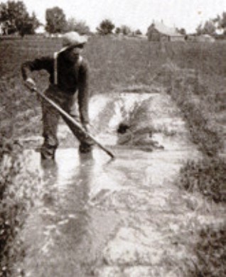 Alfalfa irrigation 1902