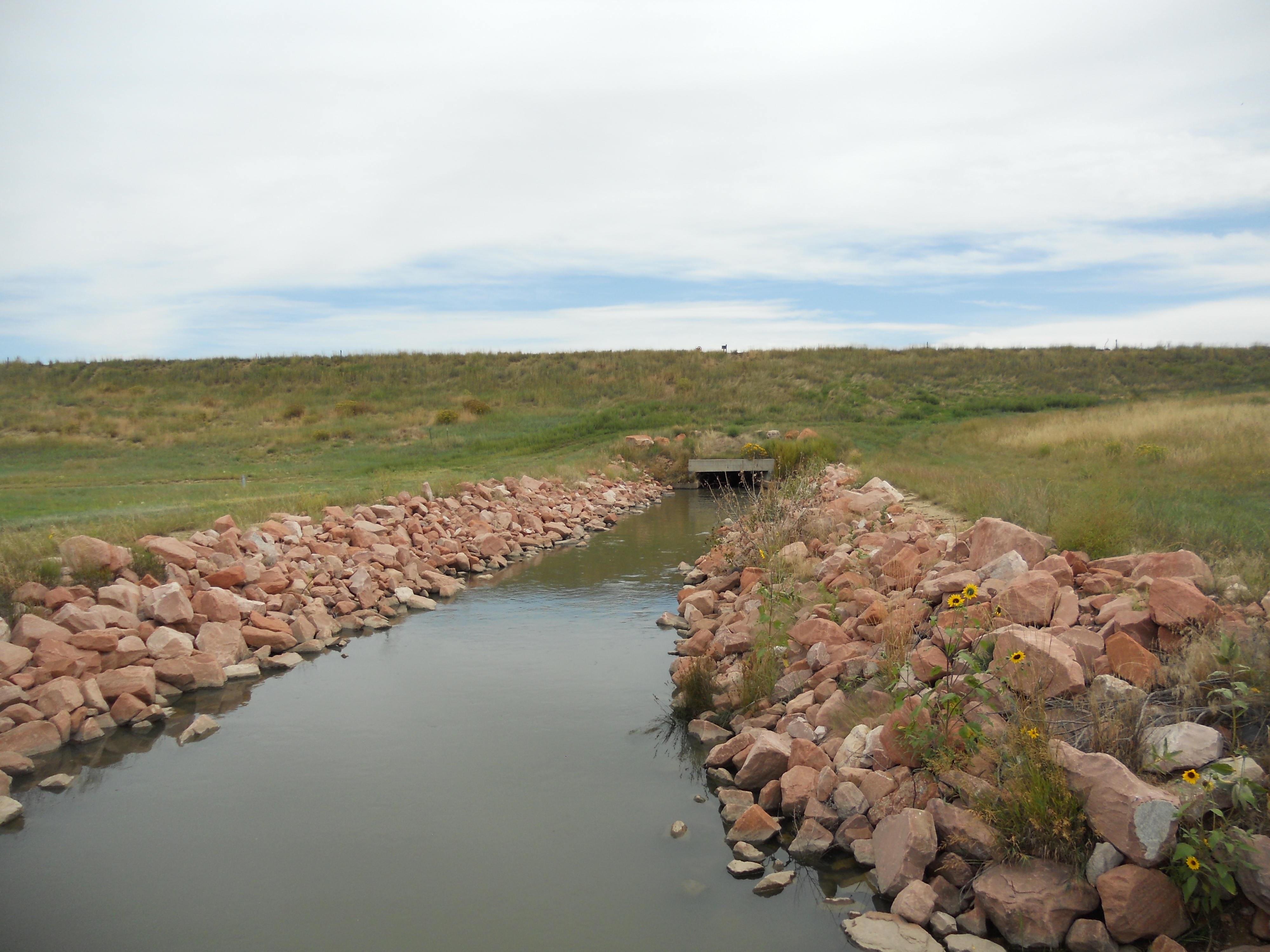 NPIC system overview map